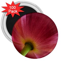 Poppy 3  Button Magnet (100 pack)