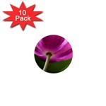 Poppy 1  Mini Button Magnet (10 pack) Front