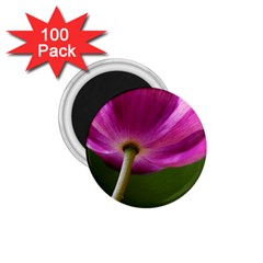 Poppy 1 75  Button Magnet (100 Pack) by Siebenhuehner