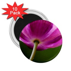 Poppy 2 25  Button Magnet (10 Pack) by Siebenhuehner