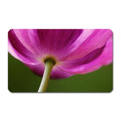 Poppy Magnet (rectangular)