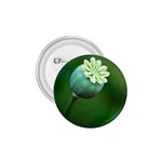 Poppy Capsules 1.75  Button Front