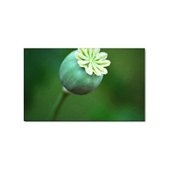 Poppy Capsules Sticker 10 Pack (rectangle) by Siebenhuehner