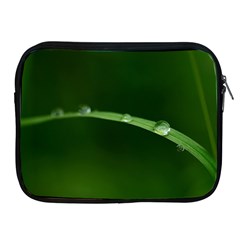 Pearls   Apple iPad 2/3/4 Zipper Case