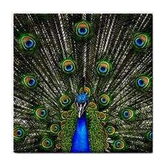 Peacock Ceramic Tile by Siebenhuehner