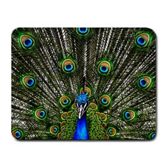 Peacock Small Mouse Pad (rectangle) by Siebenhuehner