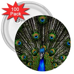 Peacock 3  Button (100 Pack) by Siebenhuehner