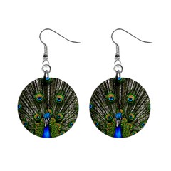 Peacock Mini Button Earrings by Siebenhuehner