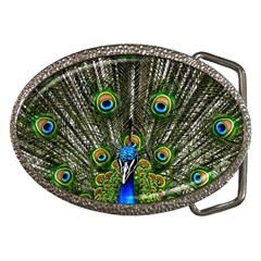 Peacock Belt Buckle (oval) by Siebenhuehner