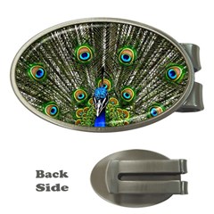 Peacock Money Clip (oval) by Siebenhuehner