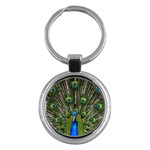 Peacock Key Chain (Round) Front