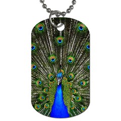 Peacock Dog Tag (one Sided) by Siebenhuehner