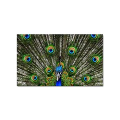 Peacock Sticker 10 Pack (rectangle) by Siebenhuehner