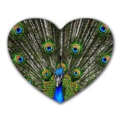 Peacock Mouse Pad (heart) by Siebenhuehner
