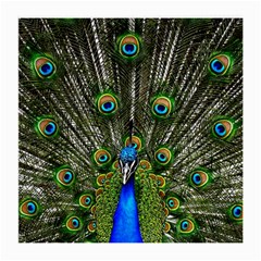 Peacock Glasses Cloth (medium) by Siebenhuehner