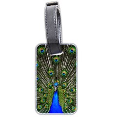 Peacock Luggage Tag (two Sides) by Siebenhuehner