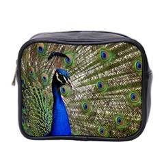 Peacock Mini Travel Toiletry Bag (two Sides) by Siebenhuehner