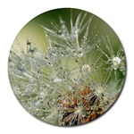 Dandelion 8  Mouse Pad (Round) Front