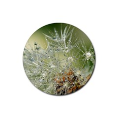 Dandelion Drink Coaster (round) by Siebenhuehner