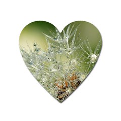 Dandelion Magnet (heart) by Siebenhuehner