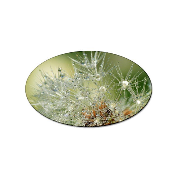 Dandelion Sticker 10 Pack (Oval)