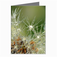 Dandelion Greeting Card by Siebenhuehner