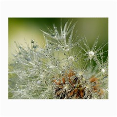 Dandelion Glasses Cloth (small) by Siebenhuehner