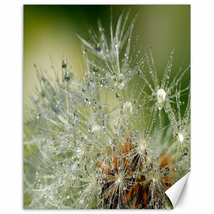 Dandelion Canvas 16  x 20  (Unframed)