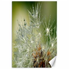 Dandelion Canvas 20  X 30  (unframed) by Siebenhuehner