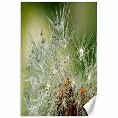 Dandelion Canvas 24  X 36  (unframed) by Siebenhuehner