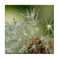 Dandelion Face Towel by Siebenhuehner