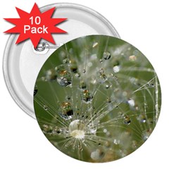 Dandelion 3  Button (10 Pack) by Siebenhuehner