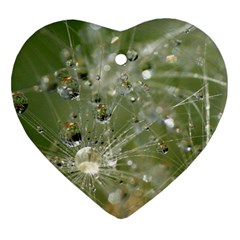 Dandelion Heart Ornament (two Sides) by Siebenhuehner