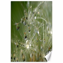 Dandelion Canvas 12  X 18  (unframed) by Siebenhuehner