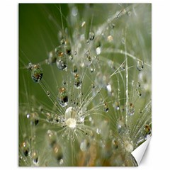 Dandelion Canvas 11  X 14  (unframed) by Siebenhuehner