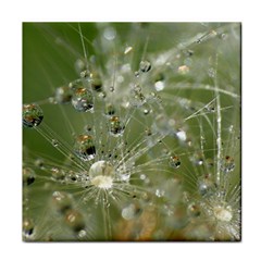 Dandelion Face Towel by Siebenhuehner