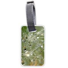 Dandelion Luggage Tag (one Side) by Siebenhuehner