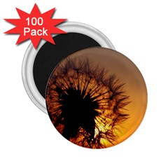 Dandelion 2.25  Button Magnet (100 pack)