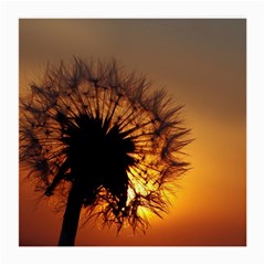 Dandelion Glasses Cloth (medium) by Siebenhuehner