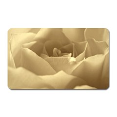 Rose  Magnet (rectangular) by Siebenhuehner