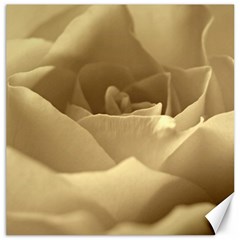 Rose  Canvas 12  X 12  (unframed) by Siebenhuehner