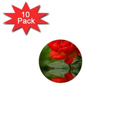 Rose 1  Mini Button (10 Pack) by Siebenhuehner