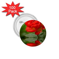 Rose 1 75  Button (100 Pack) by Siebenhuehner