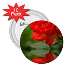 Rose 2 25  Button (10 Pack) by Siebenhuehner