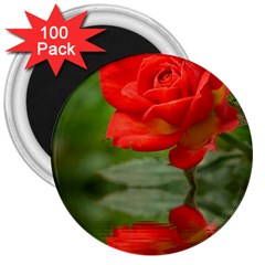 Rose 3  Button Magnet (100 Pack) by Siebenhuehner