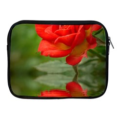 Rose Apple Ipad 2/3/4 Zipper Case by Siebenhuehner