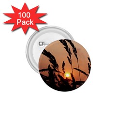 Sunset 1 75  Button (100 Pack) by Siebenhuehner