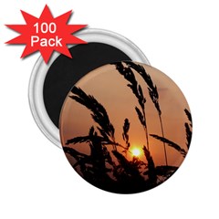 Sunset 2 25  Button Magnet (100 Pack) by Siebenhuehner