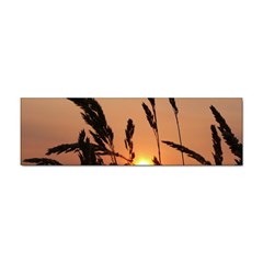 Sunset Bumper Sticker