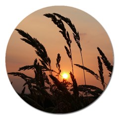 Sunset Magnet 5  (round)